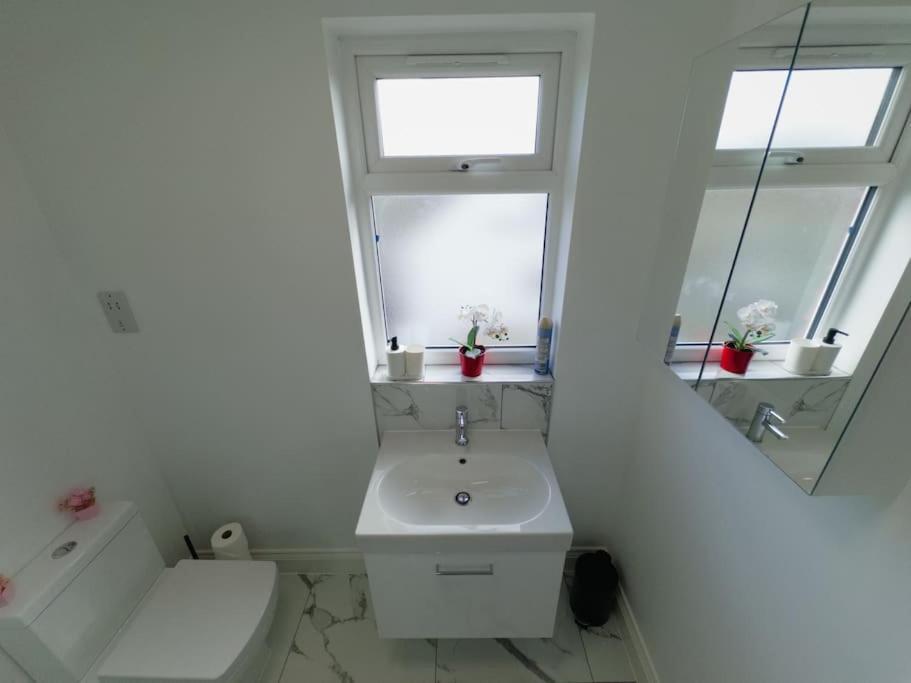 Ideal Studio Loft 30Min To Central ロンドン エクステリア 写真